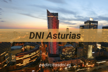 DNI Asturias