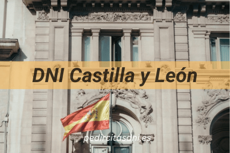 DNI Castile and León