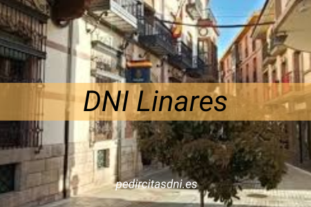 DNI Linares