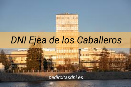 DNI Ejea de los Caballeros