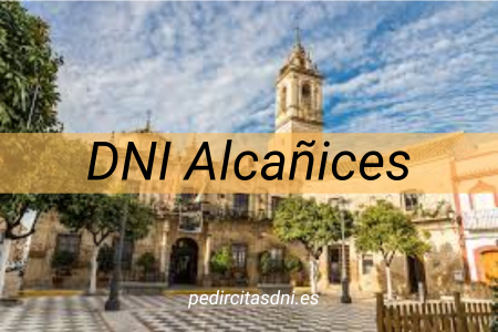 DNI Alcañices