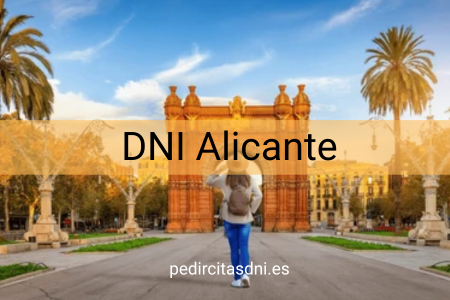 DNI Alicante