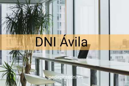 DNI Ávila‎