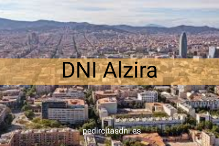 DNI Alzira
