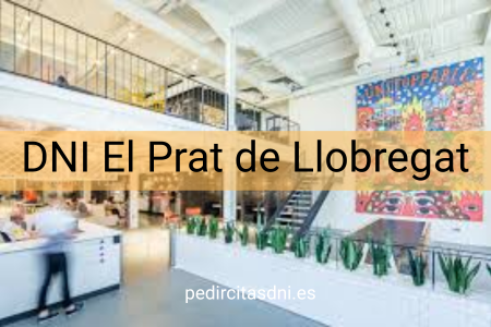 DNI El Prat de Llobregat