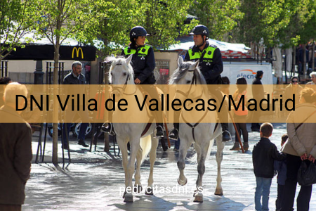 DNI Villa de Vallecas/Madrid