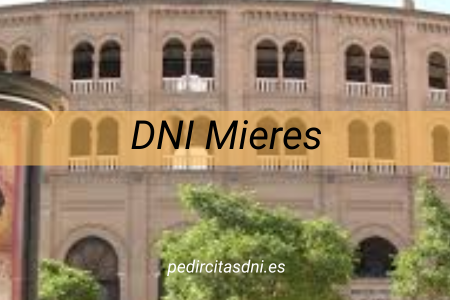 DNI Mieres