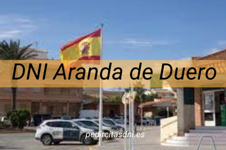 DNI Aranda de Duero