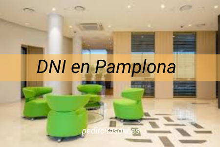 DNI en Pamplona