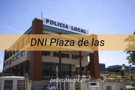 DNI Plaza de las Palomas/Granada Sur