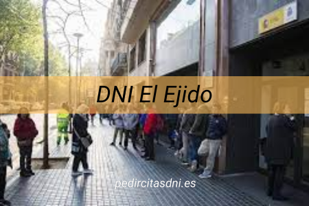 DNI El Ejido