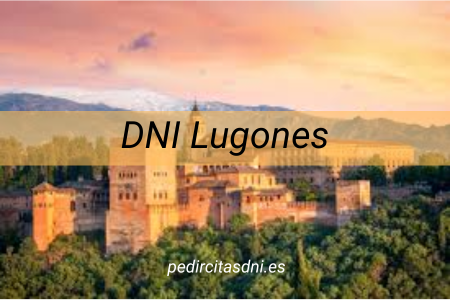 DNI Lugones