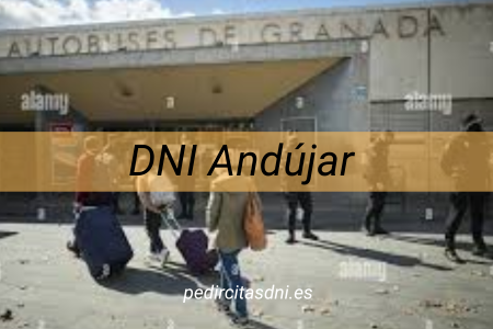 DNI Andújar