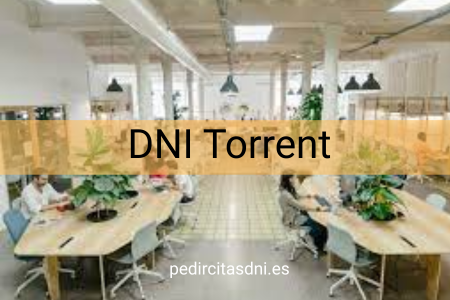 DNI Torrent