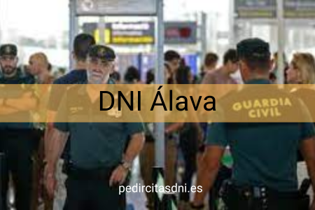 DNI Álava