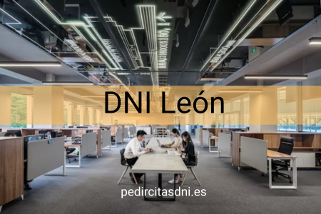DNI León