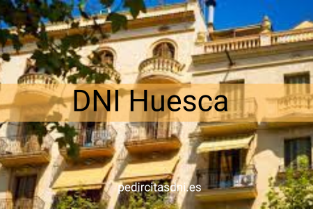 DNI Huesca