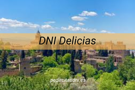 DNI Delicias/Zaragoza