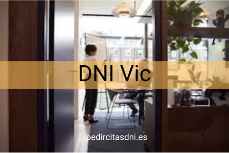 DNI Vic