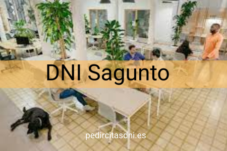 DNI Sagunto