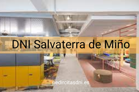 DNI Salvaterra de Miño