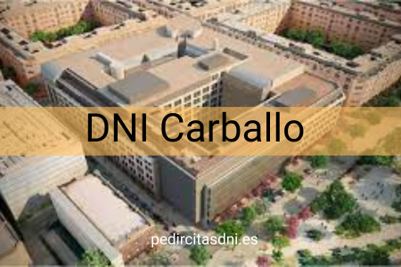 DNI Carballo
