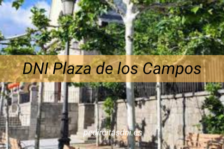 DNI Plaza de los Campos/Granada Centro