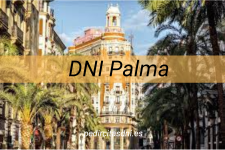 DNI Palma