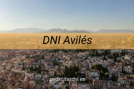 DNI Avilés