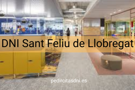 DNI Sant Feliu de Llobregat