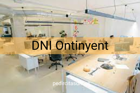 DNI Ontinyent