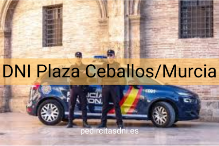 DNI Plaza Ceballos/Murcia