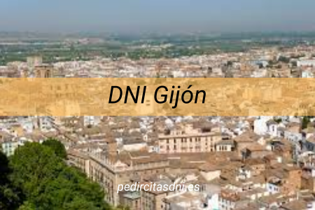 DNI Gijón