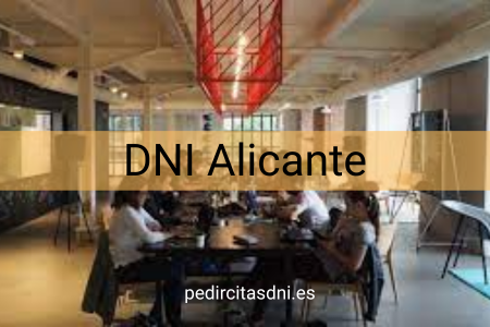 DNI Alicante