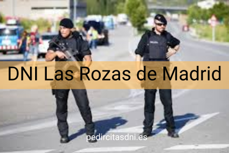 DNI Las Rozas de Madrid