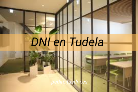 DNI en Tudela